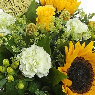 Florist Choice Aquapack