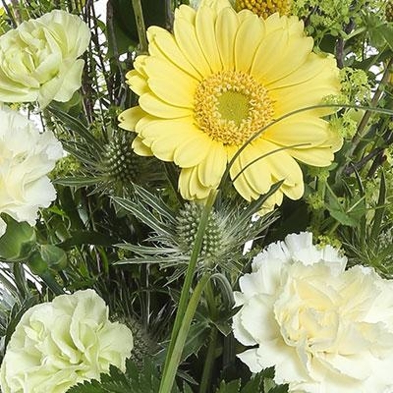 Florist Choice Handtied