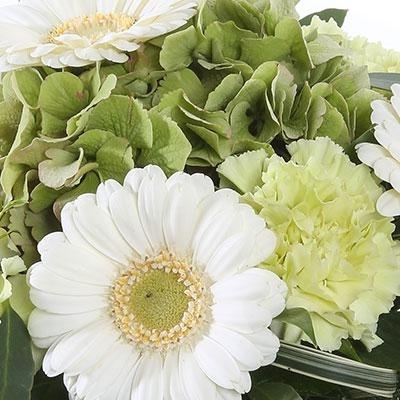 Florist Choice Aquapack