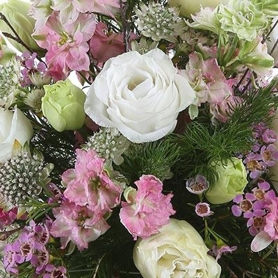 Florist Choice Aquapack